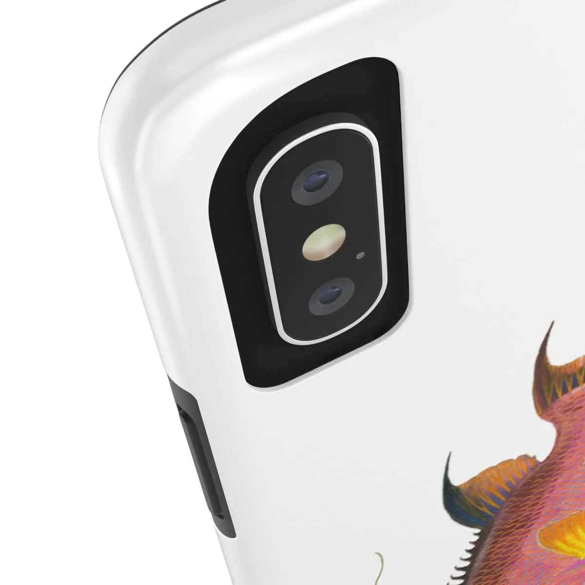 Hogfish Phone Case (iPhone)